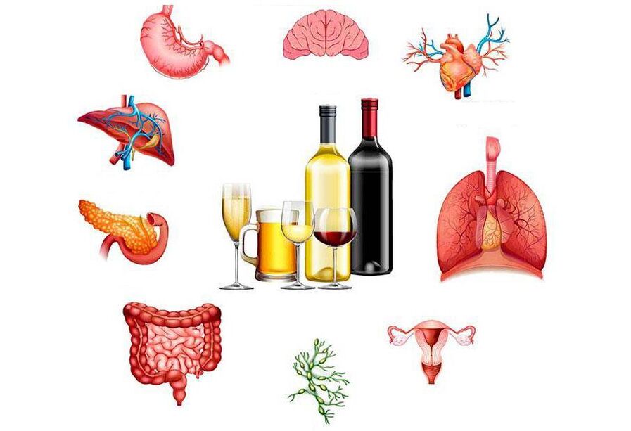 el efecto del alcohol en el cuerpo